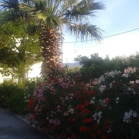 Apartment Elea *