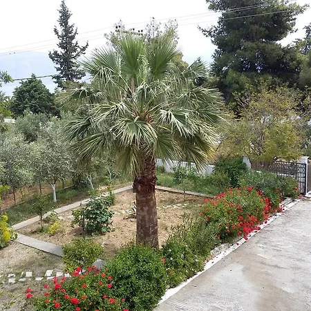 Elea Apartament Galaxídhion